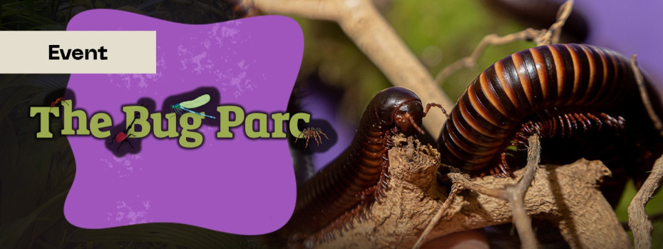 Event cover image
