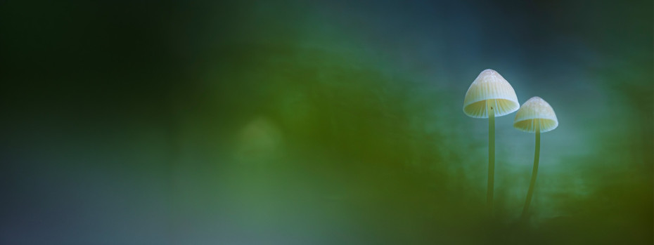 Event cover image