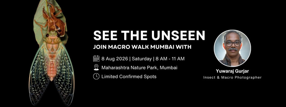 Event cover image